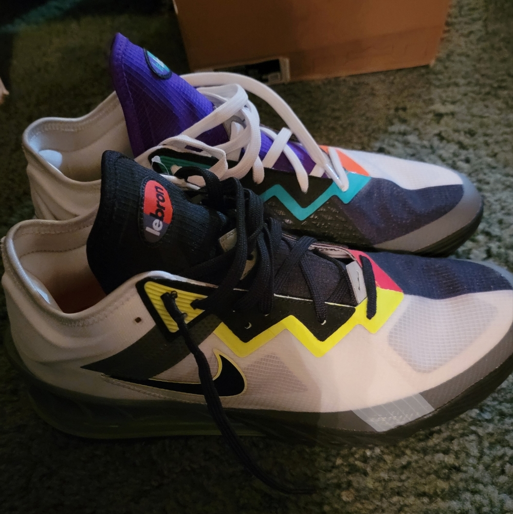 Lebron Low 18